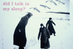 Did I Talk In My Sleep - Siebdruck -2013
