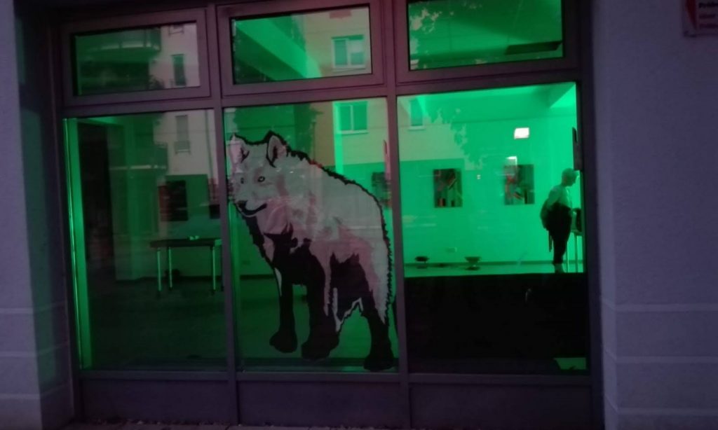Wolf - Fensterbild - Galerie Brücke22 - Freital.jpg