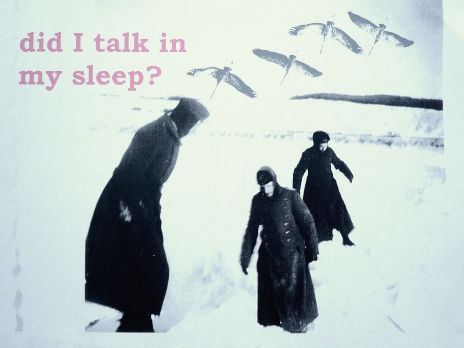 Did I talk in my sleep